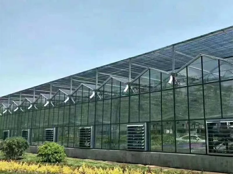 Quin és l’impacte ambiental de la construcció d’un edifici de marc d’acer?